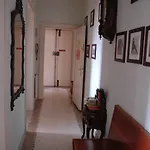 S.marco